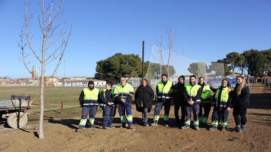 Imagen Frula completa la recuperación de los pinares del entorno del casco urbano