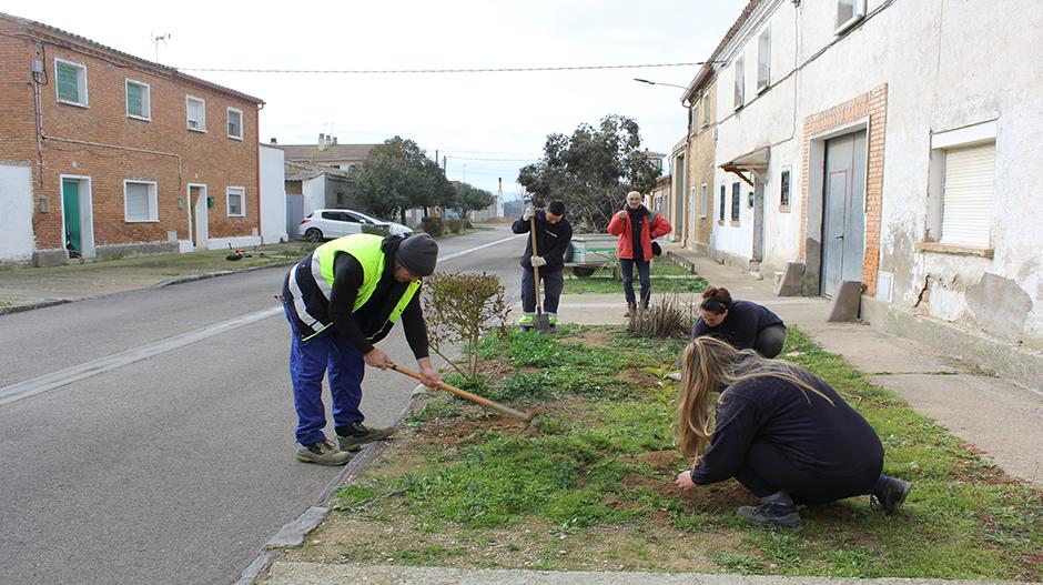 Imagen Frula adecua los jardines de acceso a las viviendas